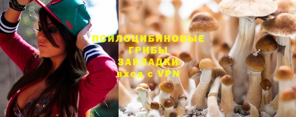 амфетамин Елизово