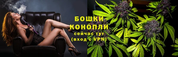 гидропоника Ельня